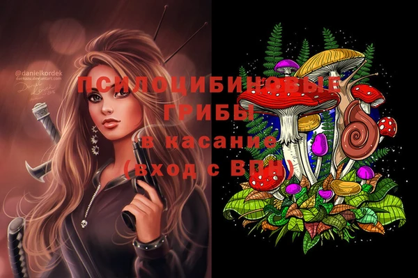 мяу мяу мука Верея