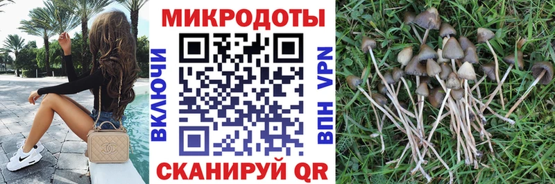 Псилоцибиновые грибы мицелий  Мончегорск 
